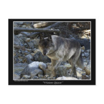 Vision Quest Wolf Gifts postcards
