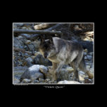 "Vision Quest" Wolf Poster posters