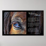 Visionary Healer inspiration, © Kim McElroy Poster