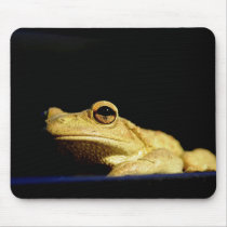 Visionary mousepads by JKKimball Visionary mousepads