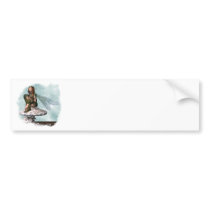 Visions bumper stickers