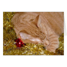Visions of catnip sugar plums cards