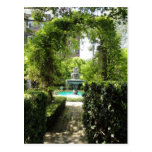 Visions of Charleston Fountain Postcard postcards