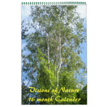 Visions of Nature16 month Calendar