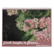 Visions of Nature Wall Calendar