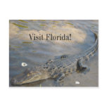 Visit Florida Postcard