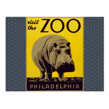 Visit The Zoo!! Postcard
