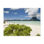 south pacific, island, michele westmorland,