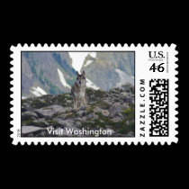 Visit Washington postage
