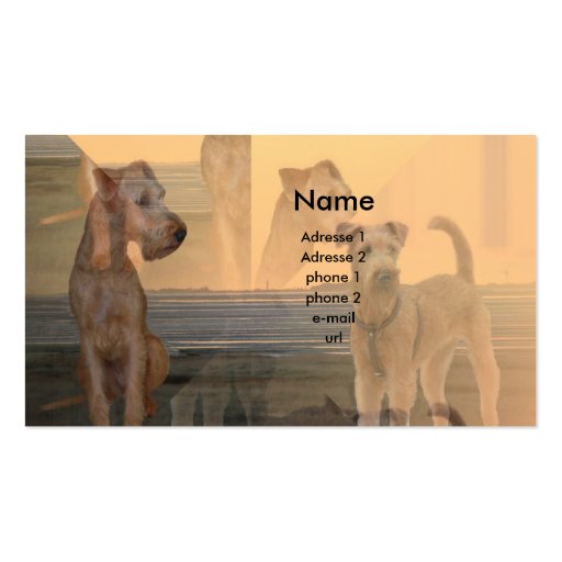 Visiting card â€œIrish Terrier " Business Cards (front side)