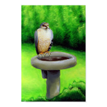 Visiting Hawk posters by doodlemonkie Visiting Hawk posters