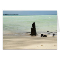 Visiting Paradise cards by travelnutz Visiting Paradise cards