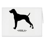 Vissla Card