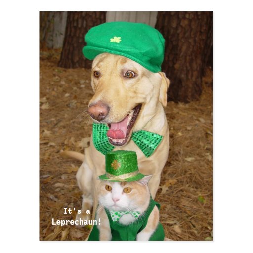 ¡Vista del Leprechaun! Postales