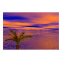 Vista posters by dmark3 Vista posters