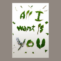 visual proposal typography poster series posters