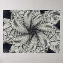 Vitalities Ruin Print