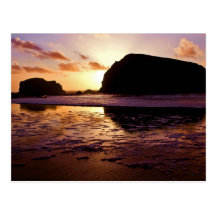 Vitality - Bandon, Oregon Post Card