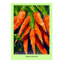 Vitamin A poster posters by Jana_Sanchez Vitamin A poster posters