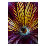 Vitraux cards
