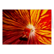 Vitraux feu cards by Roco1975 Vitraux feu cards