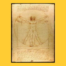 Vitruve Luc Viatour by Leonardo da Vinci posters