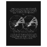Vitruvian Guitars flyers