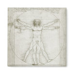 Vitruvian Man by Leonardo da Vinci Fridge Magnet