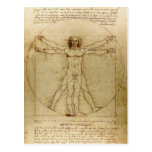 Vitruvian Man, Leonardo da Vinci Post Card