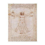 Vitruvian Man postcards