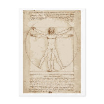 Vitruvian Man postcards by Novelteez Vitruvian Man postcards
