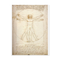 Vitruvian Man Postcard