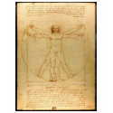 Vitruvian man. t-shirts