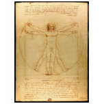 Vitruvian man. t-shirts