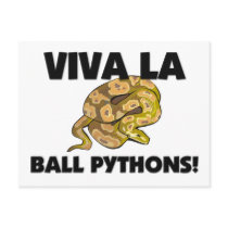 Viva La Ball Pythons postcards