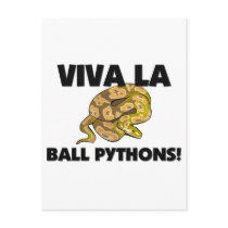 Viva La Ball Pythons postcards