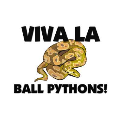 Viva La Ball Pythons Tee Shirt by AnimalShirts