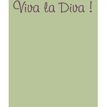 Viva la Diva ! t-shirts