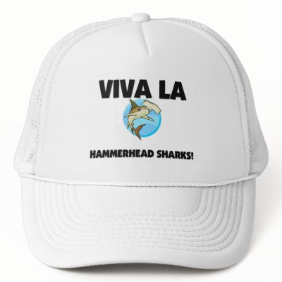 sharks hat