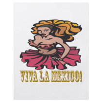 Viva La Mexico Flyer