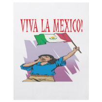 Viva La Mexico Full Color Flyer
