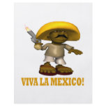 Viva La Mexico flyers