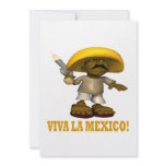 Viva La Mexico Invite