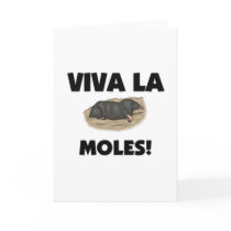 Viva La Moles Cards