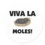 Viva La Moles stickers