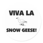 Viva La Snow Geese stickers