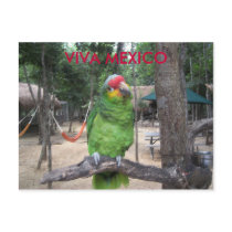 Viva Mexico postcards by abishop26 Viva Mexico postcards
