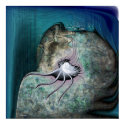 Vivarium #2 posters