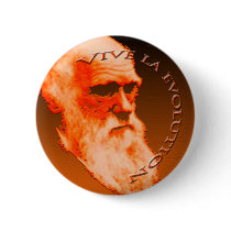 Vive La Evolution Pins