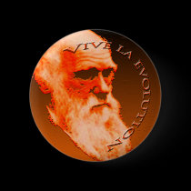 Vive La Evolution buttons